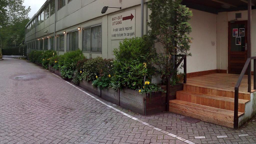 Budget Hostel Bargain Toko 阿姆斯特丹 外观 照片